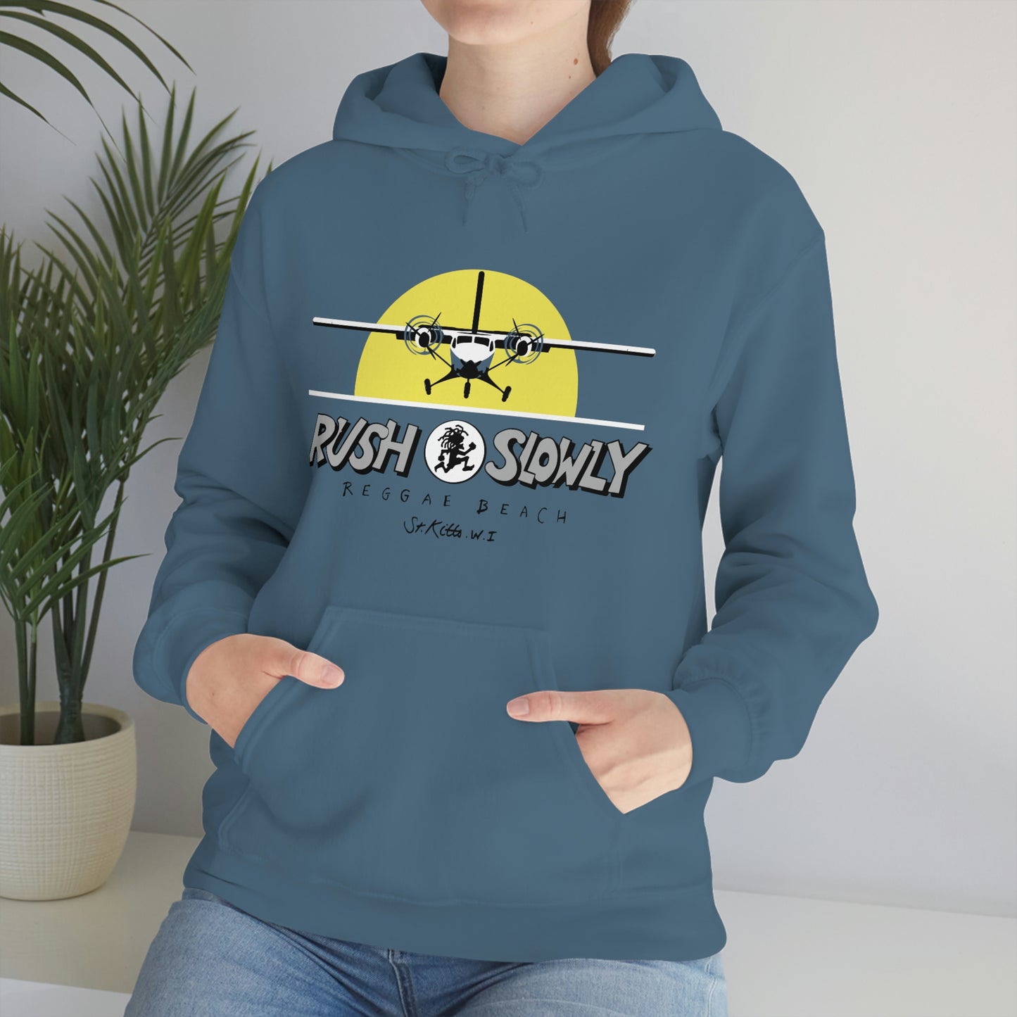 Unisex Airplane Hooded Sweatshirt