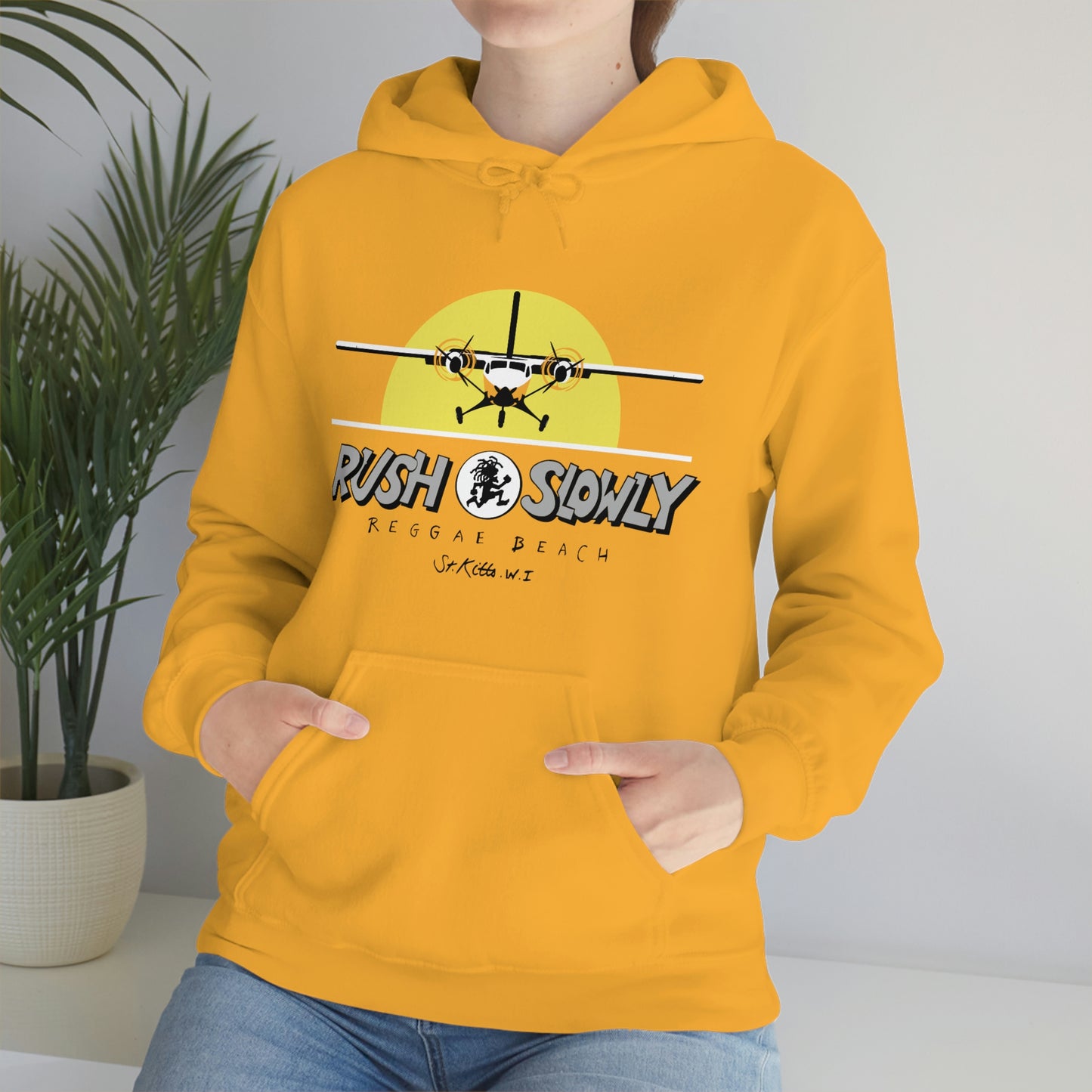 Unisex Airplane Hooded Sweatshirt