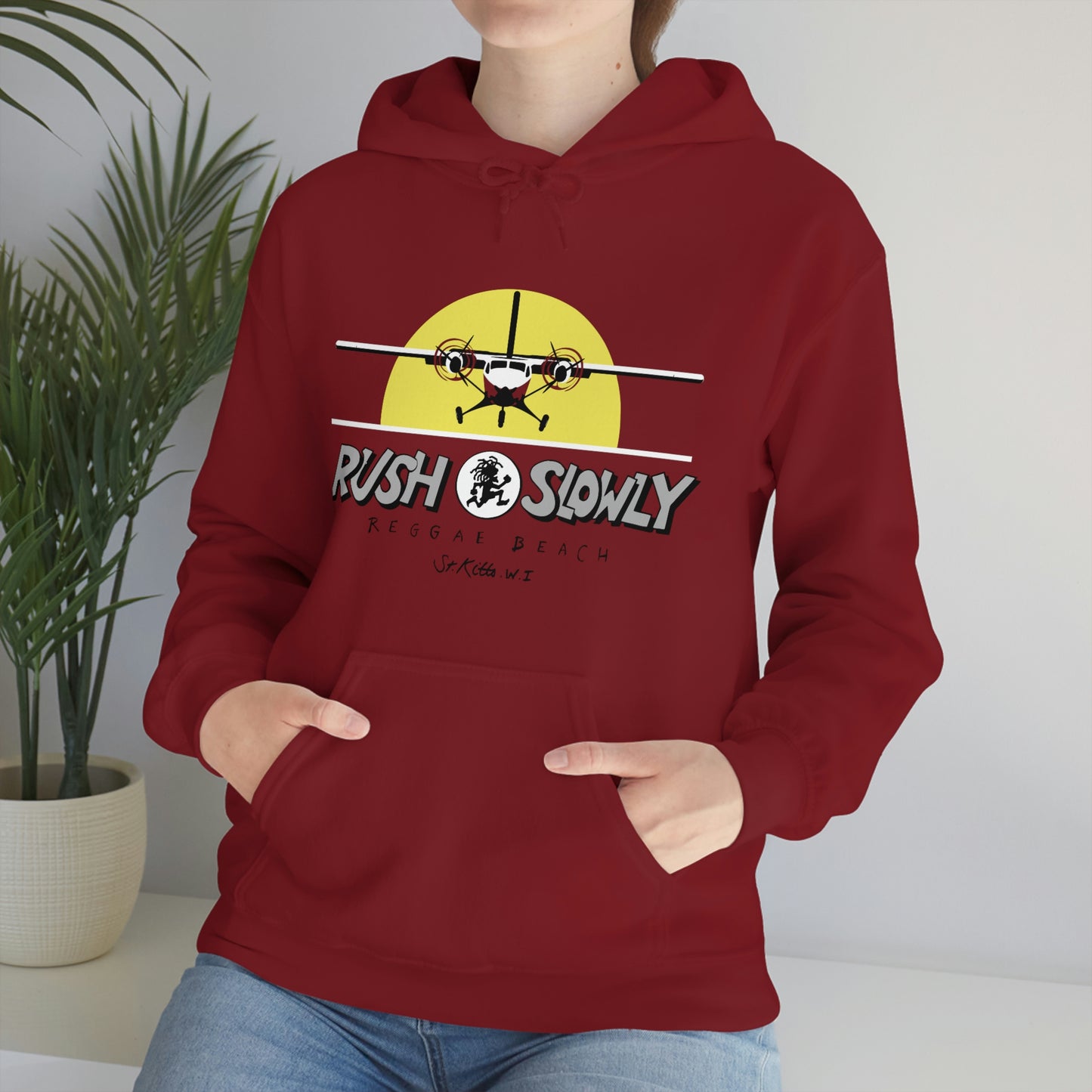 Unisex Airplane Hooded Sweatshirt