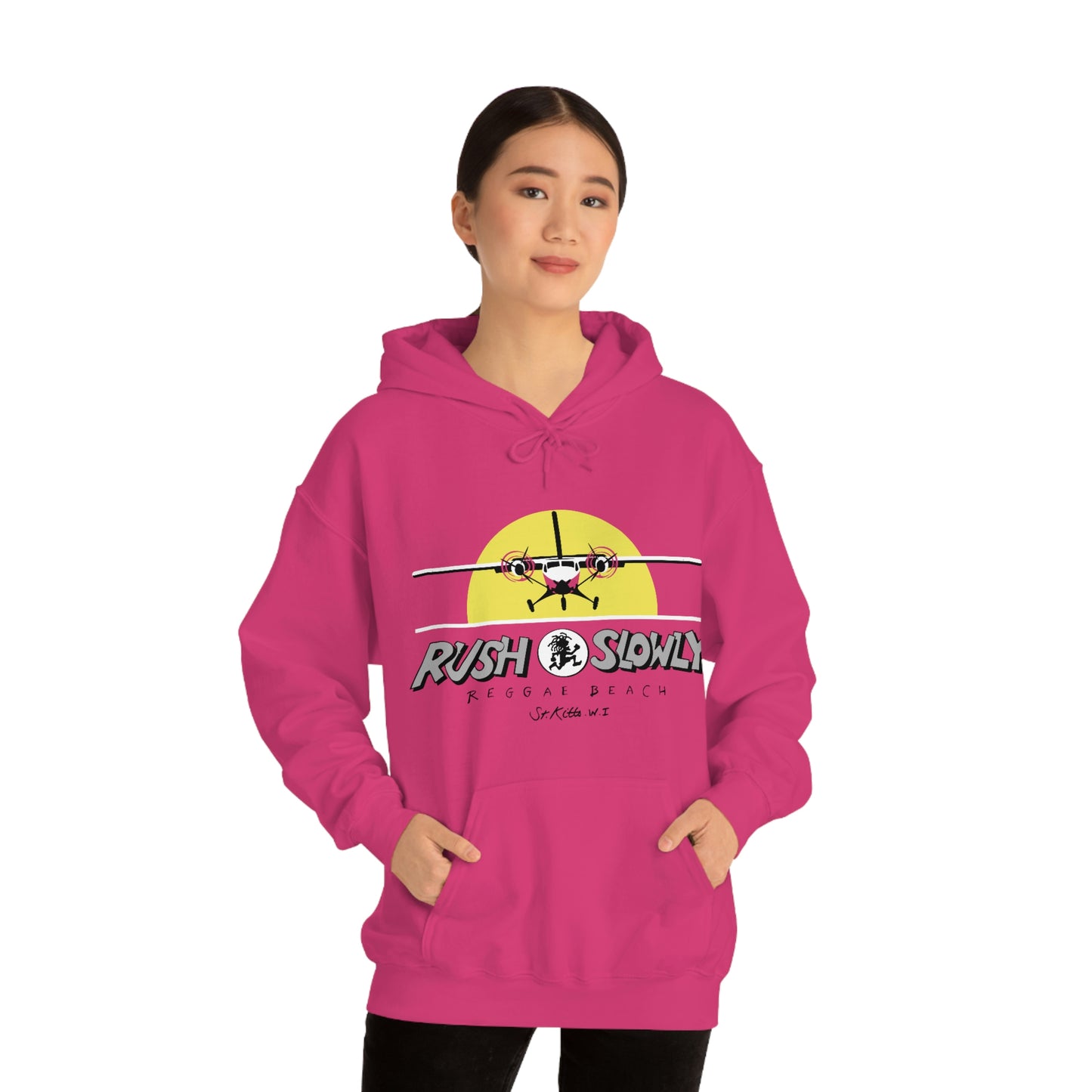 Unisex Airplane Hooded Sweatshirt