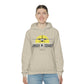 Unisex Airplane Hooded Sweatshirt