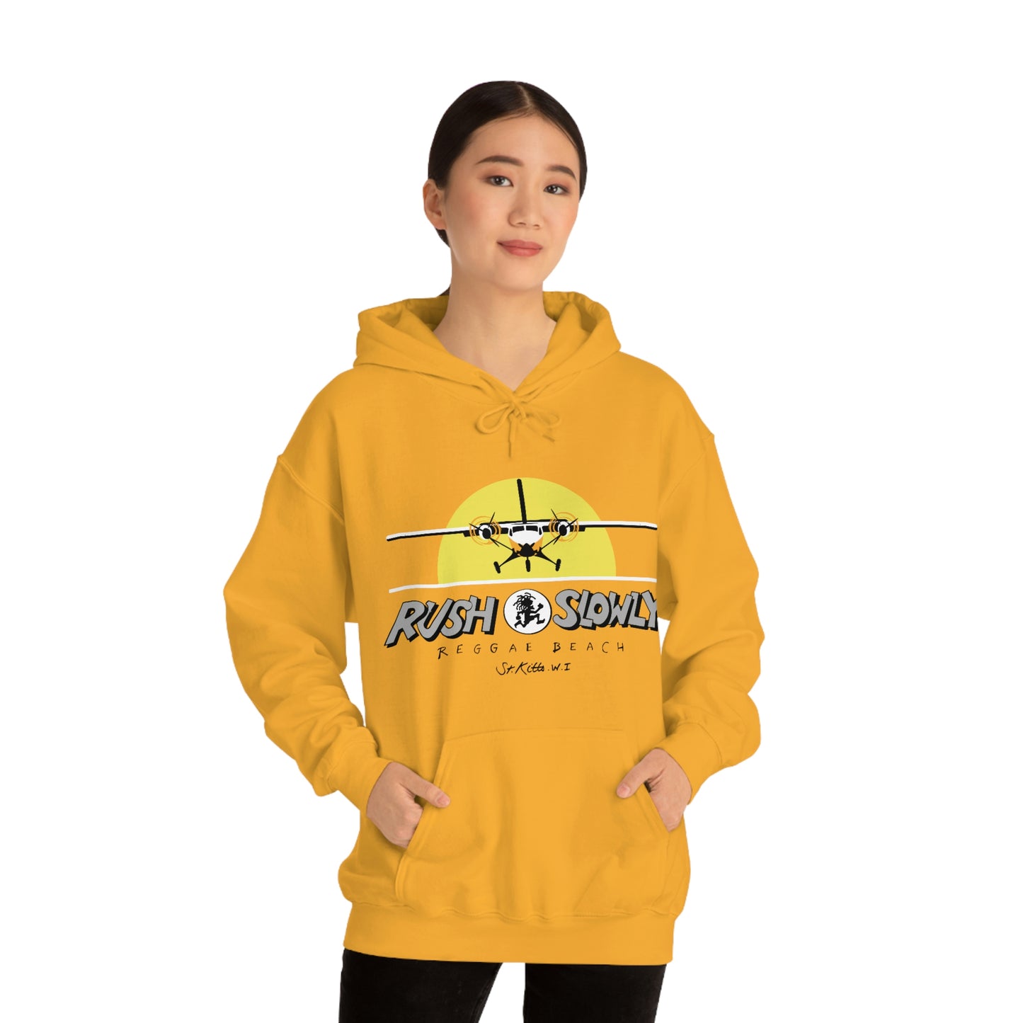 Unisex Airplane Hooded Sweatshirt