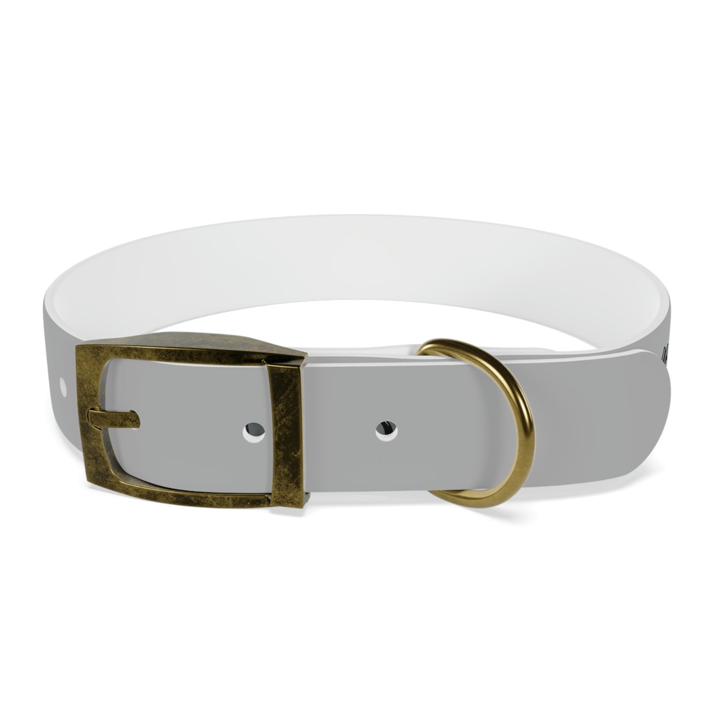 Rush Slowly Dog Collar