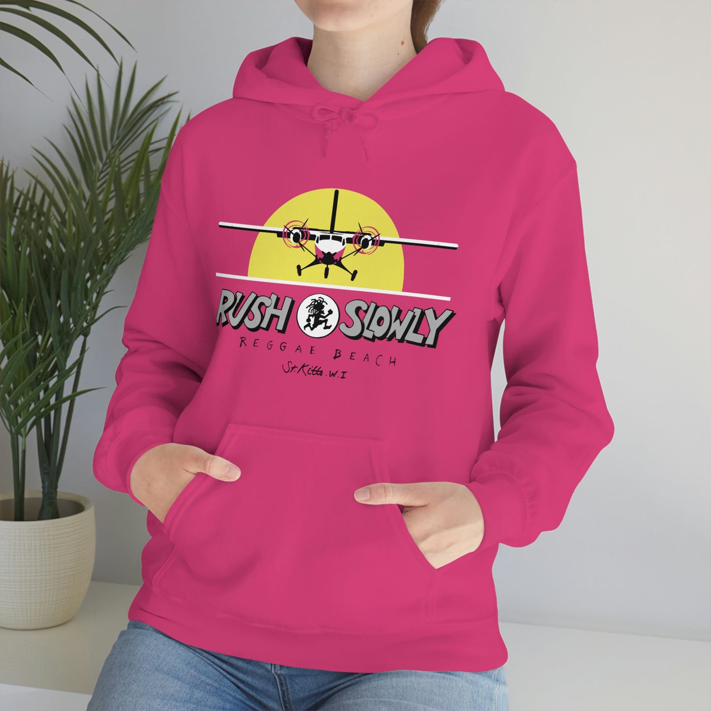 Unisex Airplane Hooded Sweatshirt