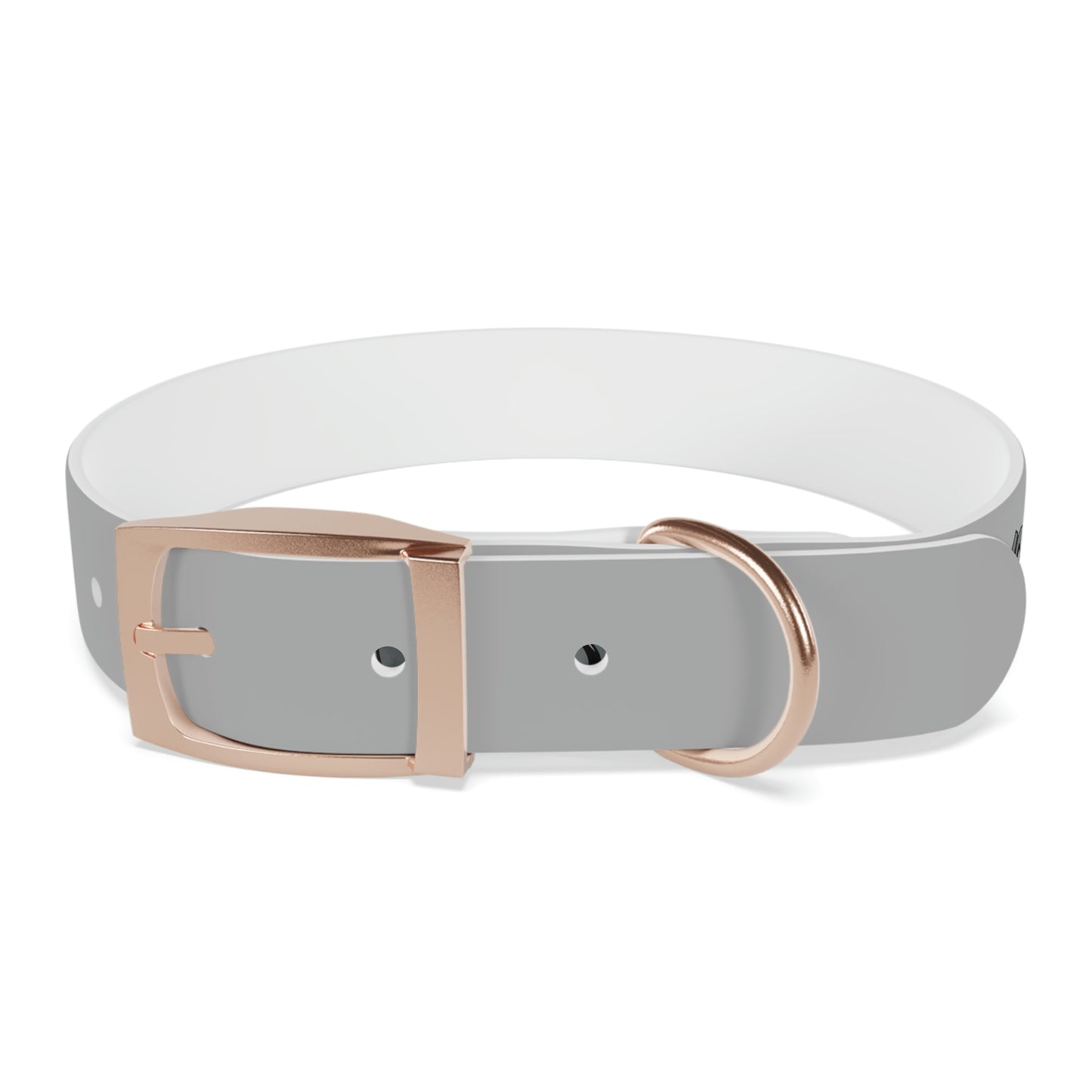 Rush Slowly Dog Collar