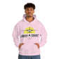 Unisex Airplane Hooded Sweatshirt