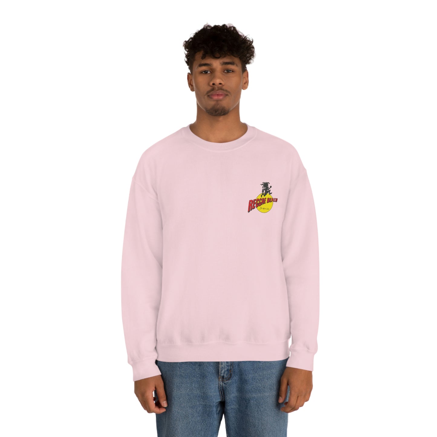 Unisex Airplane Crewneck Sweatshirt