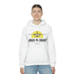 Unisex Airplane Hooded Sweatshirt