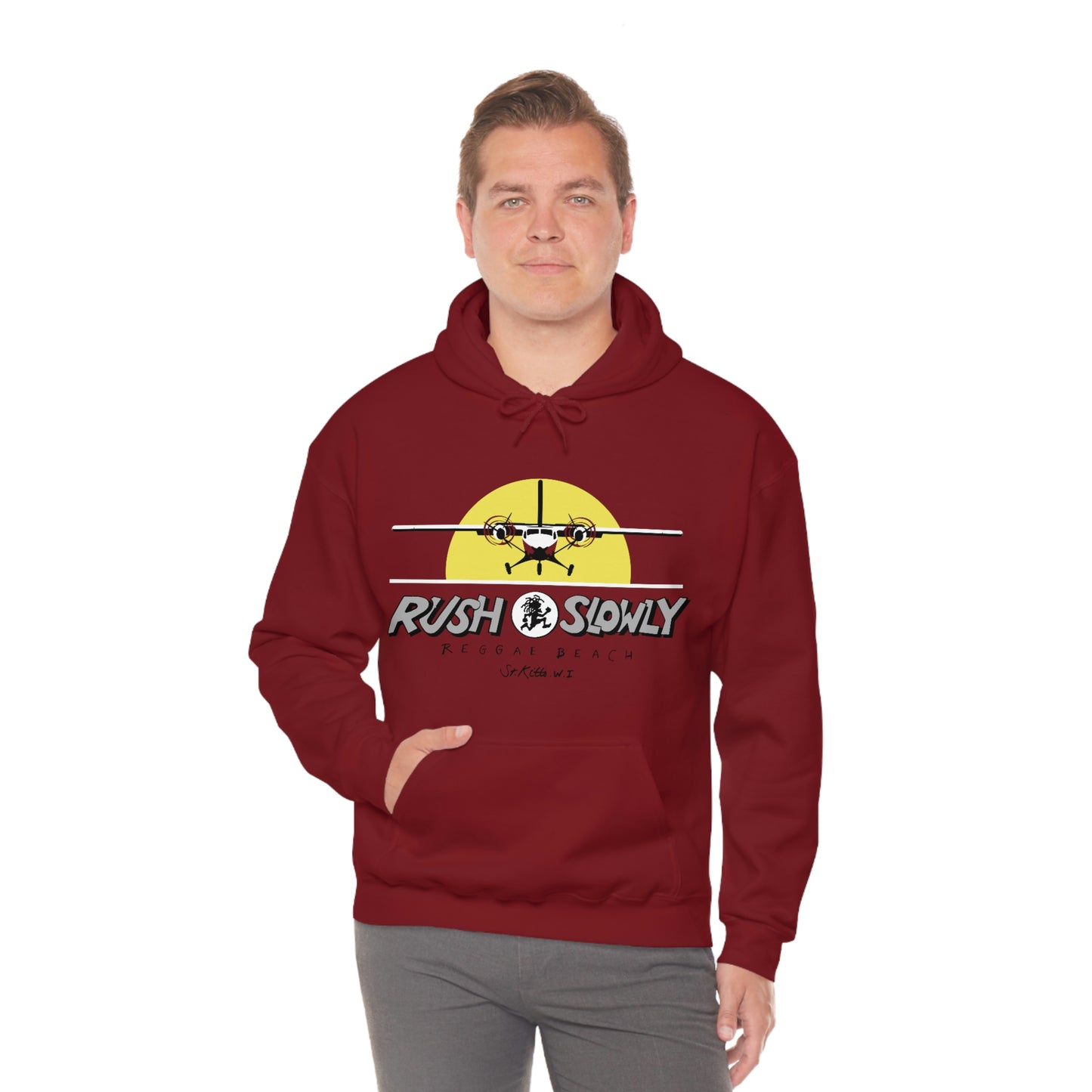 Unisex Airplane Hooded Sweatshirt