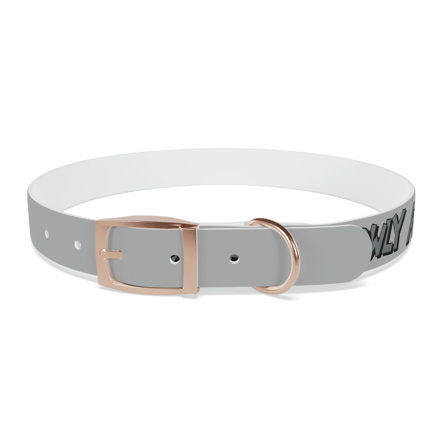 Rush Slowly Dog Collar